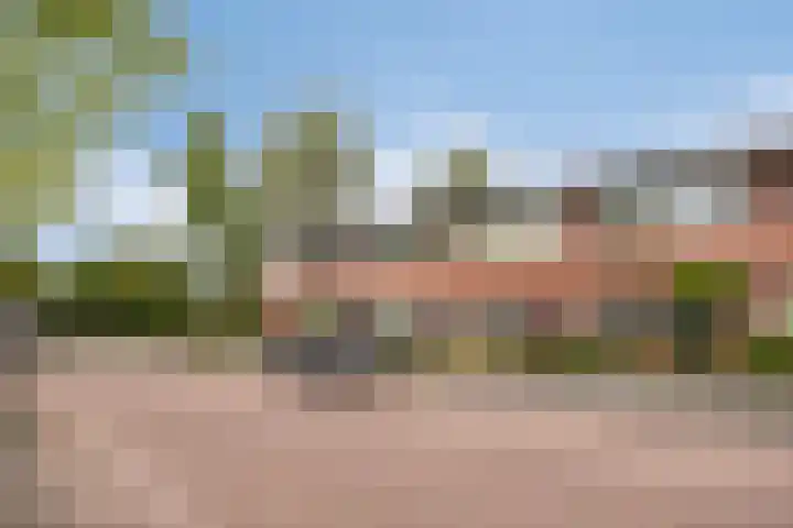 Berenklauw 77 's-Hertogenbosch thumbnail 19