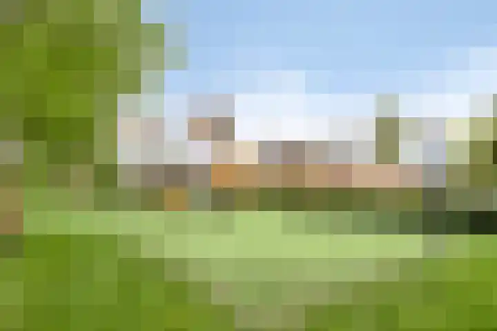 Berenklauw 77 's-Hertogenbosch thumbnail 20