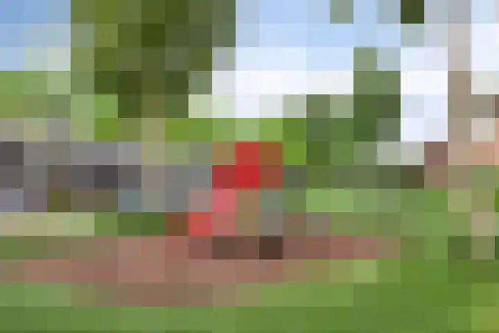 Berenklauw 77 's-Hertogenbosch thumbnail 21