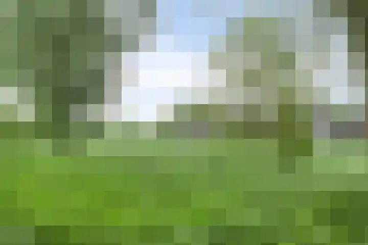 Berenklauw 77 's-Hertogenbosch thumbnail 22