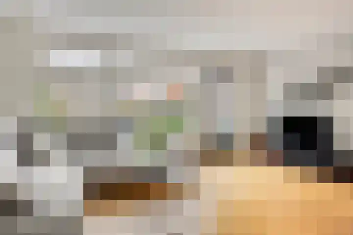 Berenklauw 77 's-Hertogenbosch thumbnail 4