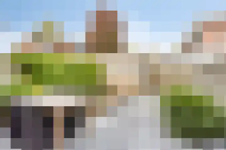 Berenklauw 77 's-Hertogenbosch thumbnail 5