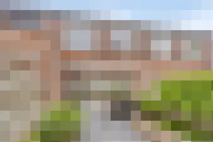 Berenklauw 77 's-Hertogenbosch thumbnail 6