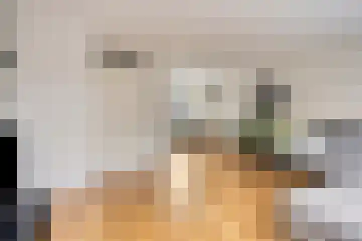 Berenklauw 77 's-Hertogenbosch thumbnail 7