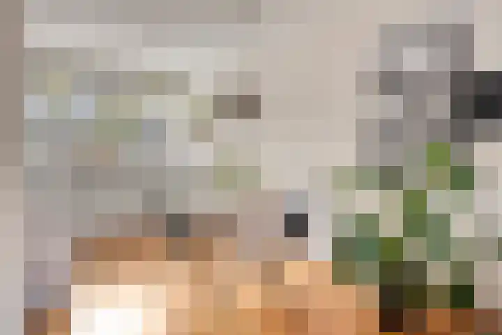 Berenklauw 77 's-Hertogenbosch thumbnail 8