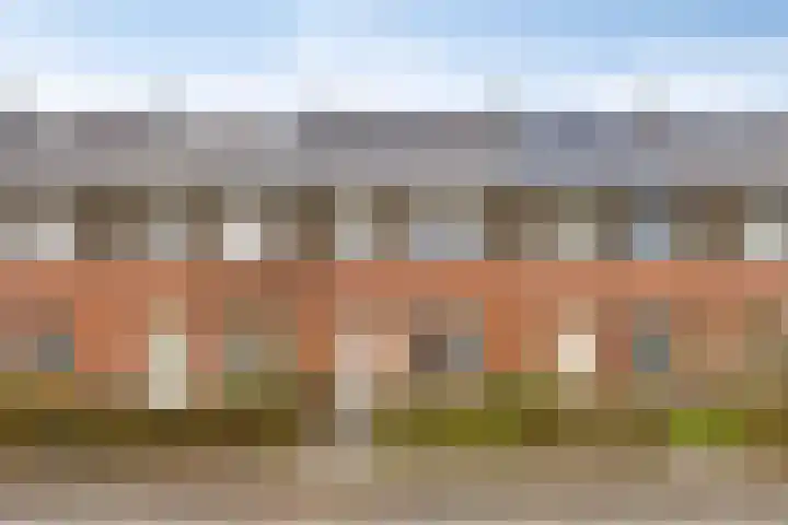 Berenklauw 8 Driel