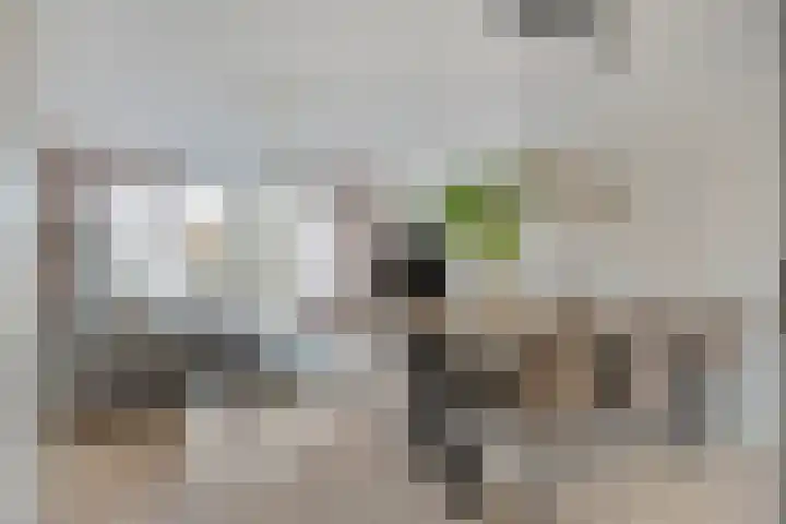 Berenklauw 8 Driel thumbnail 11