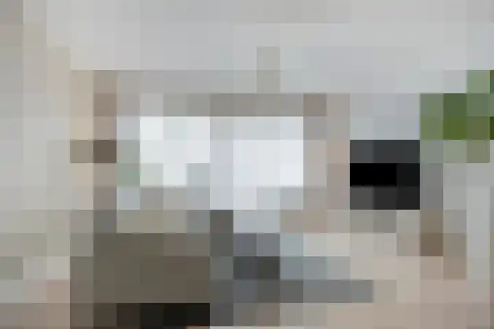 Berenklauw 8 Driel thumbnail 13