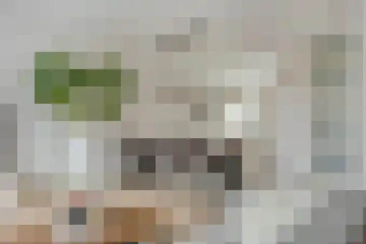 Berenklauw 8 Driel thumbnail 16