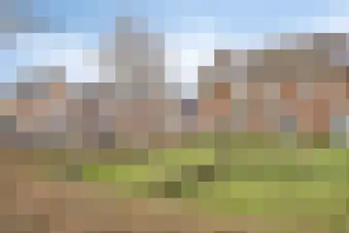 Berenklauw 8 Driel thumbnail 38