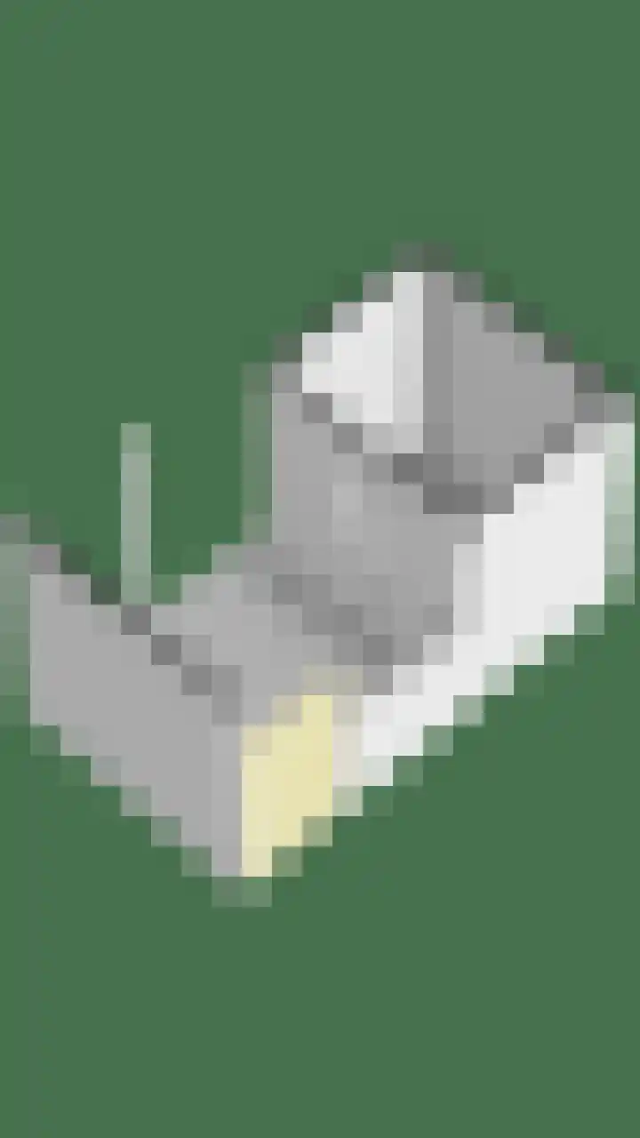 Berenklauw 8 Driel thumbnail 46