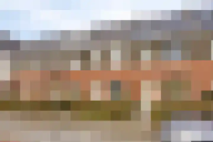 Berenklauw 8 Driel thumbnail 5