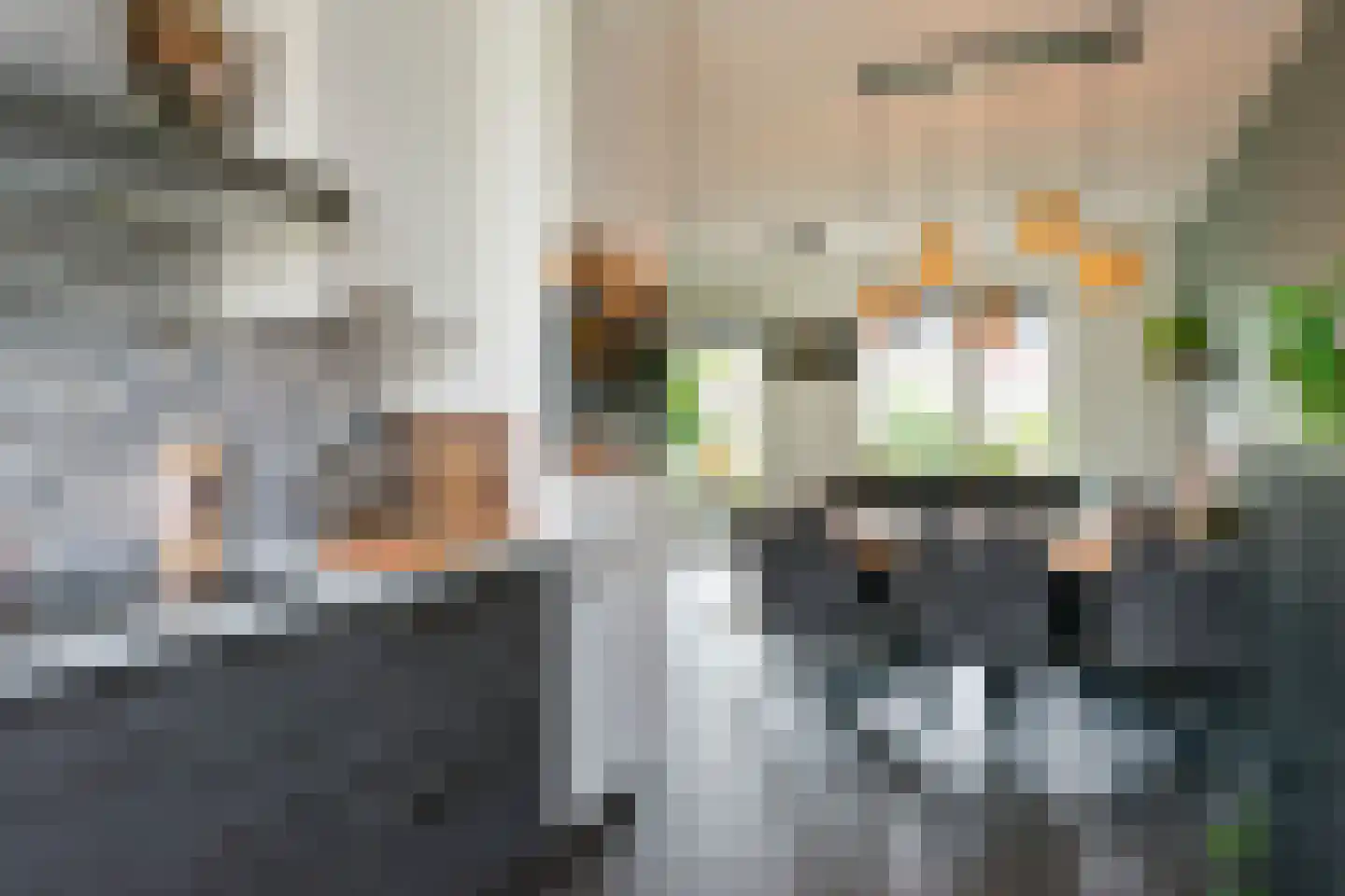 Berenklauw 90 Driel thumbnail 22