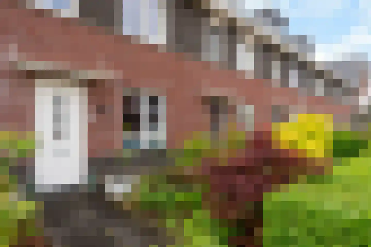 Berenklauw 90 Driel thumbnail 5