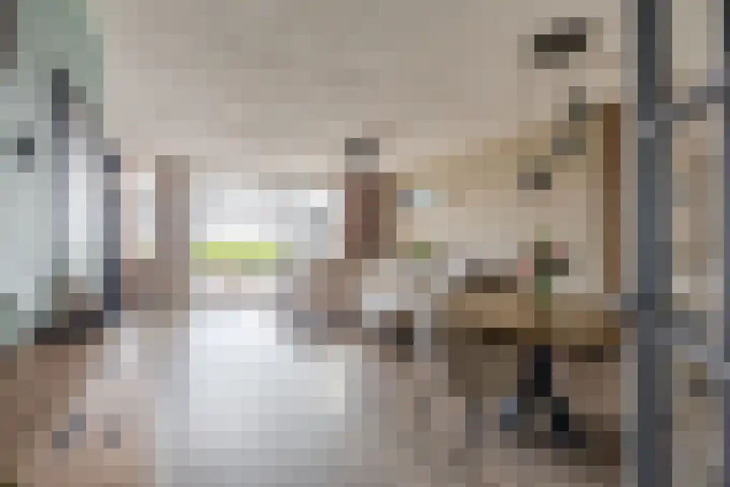 Berenkreek 15 Spijkenisse thumbnail 10