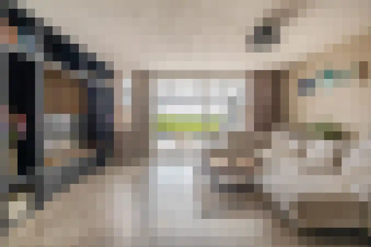 Berenkreek 15 Spijkenisse thumbnail 11