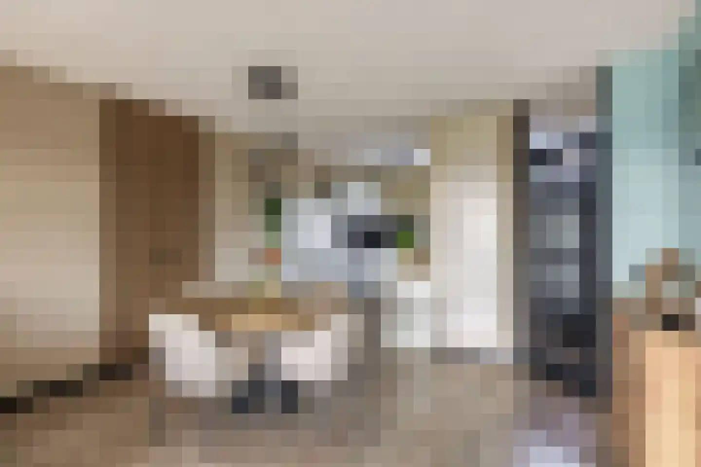 Berenkreek 15 Spijkenisse thumbnail 14