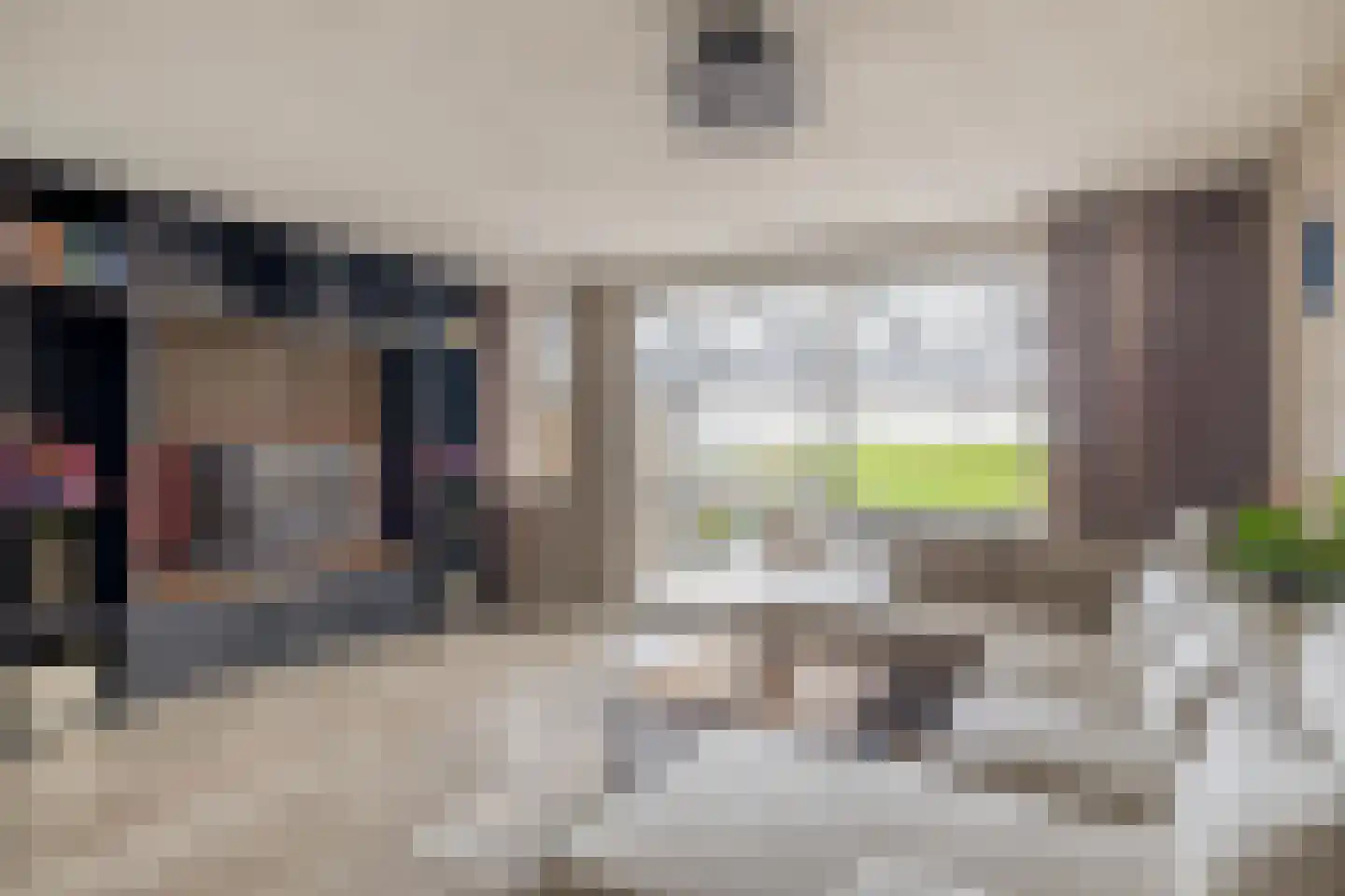 Berenkreek 15 Spijkenisse thumbnail 16