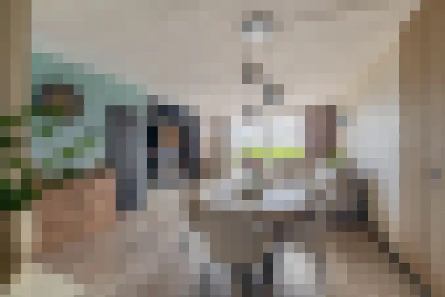 Berenkreek 15 Spijkenisse thumbnail 17
