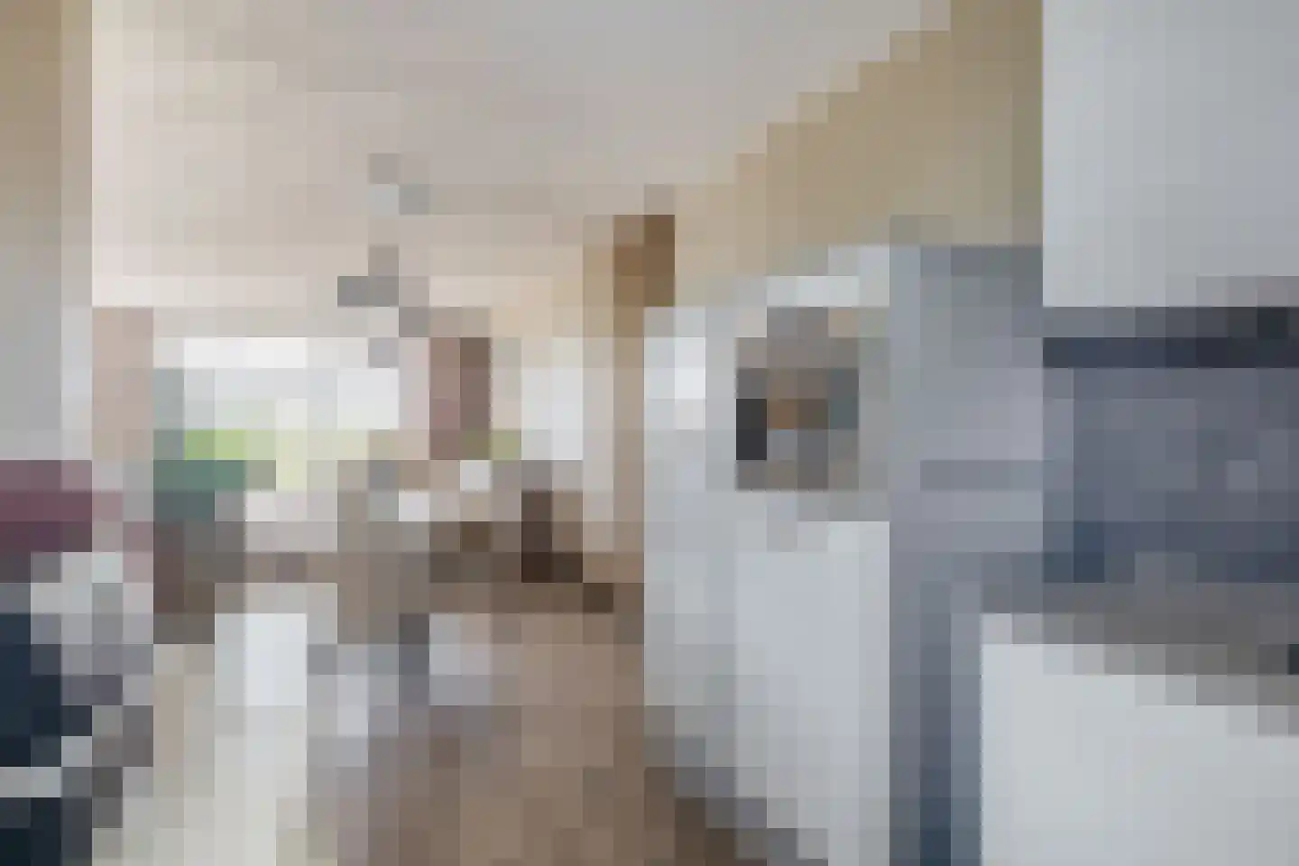 Berenkreek 15 Spijkenisse thumbnail 20