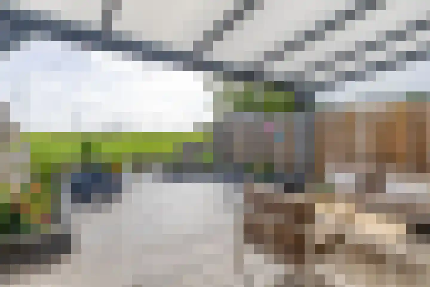 Berenkreek 15 Spijkenisse thumbnail 22
