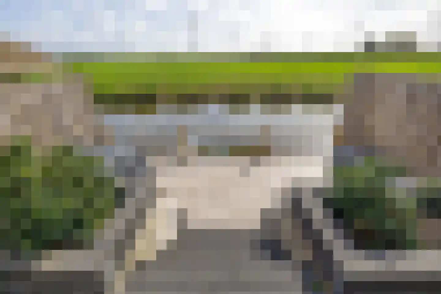 Berenkreek 15 Spijkenisse thumbnail 24