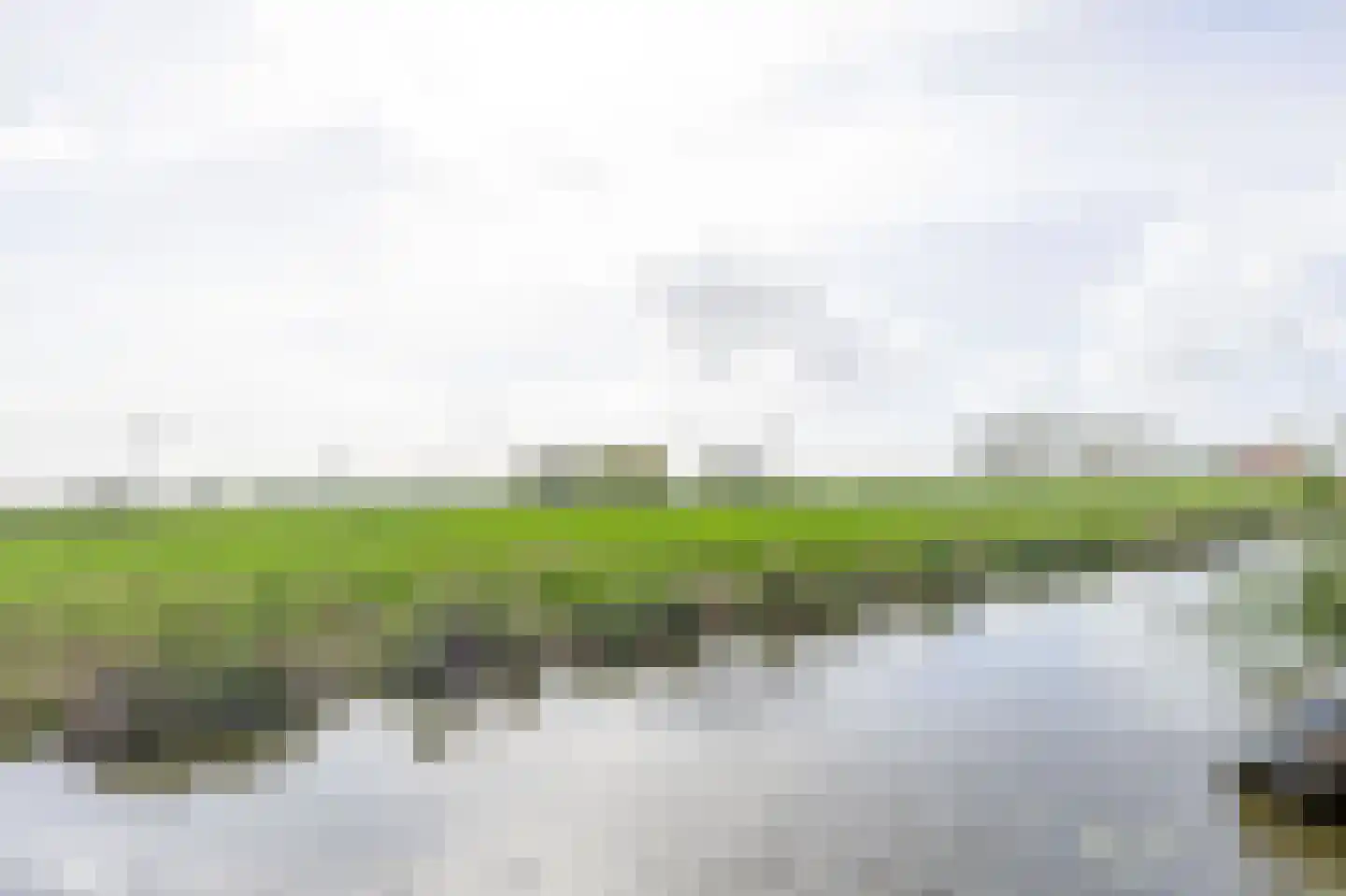 Berenkreek 15 Spijkenisse thumbnail 25
