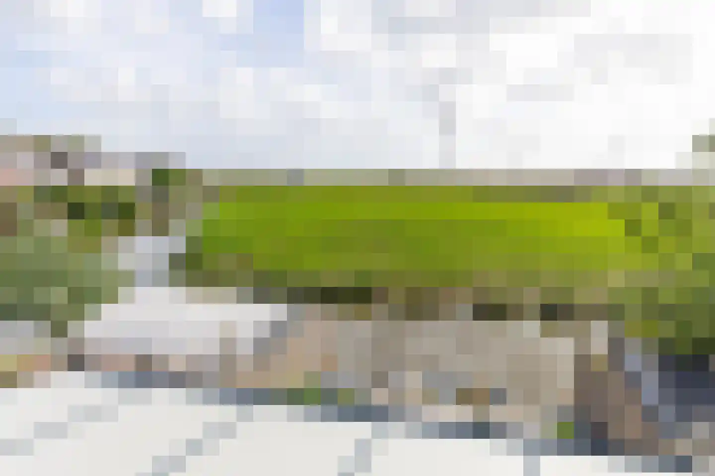 Berenkreek 15 Spijkenisse thumbnail 27
