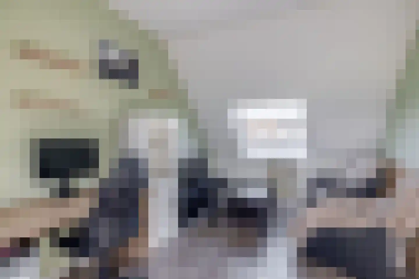 Berenkreek 15 Spijkenisse thumbnail 38