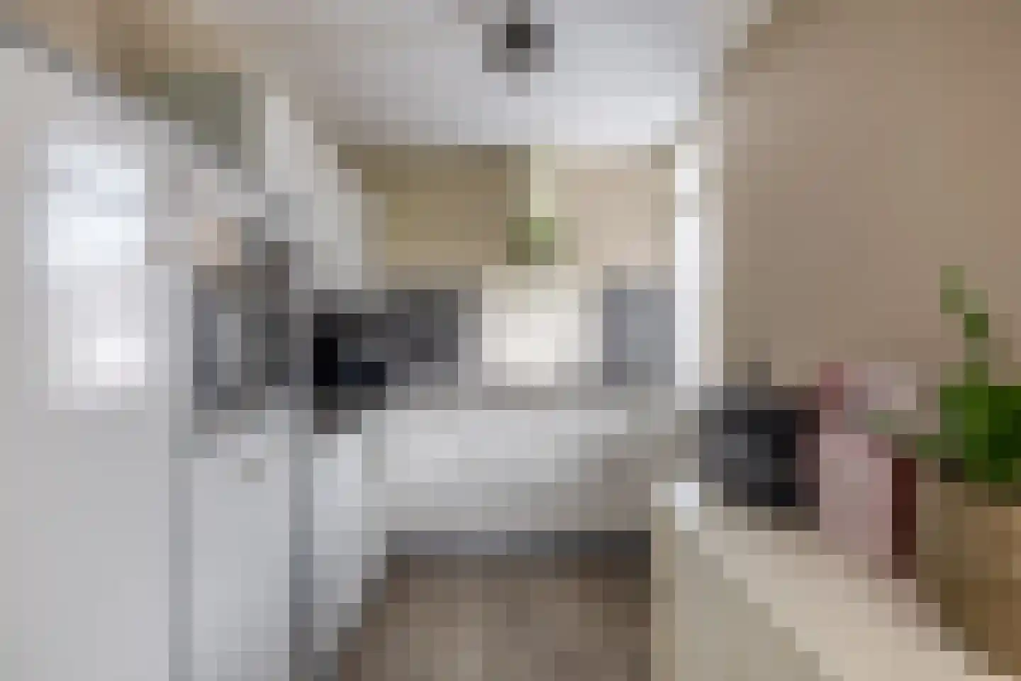 Berenkreek 15 Spijkenisse thumbnail 4