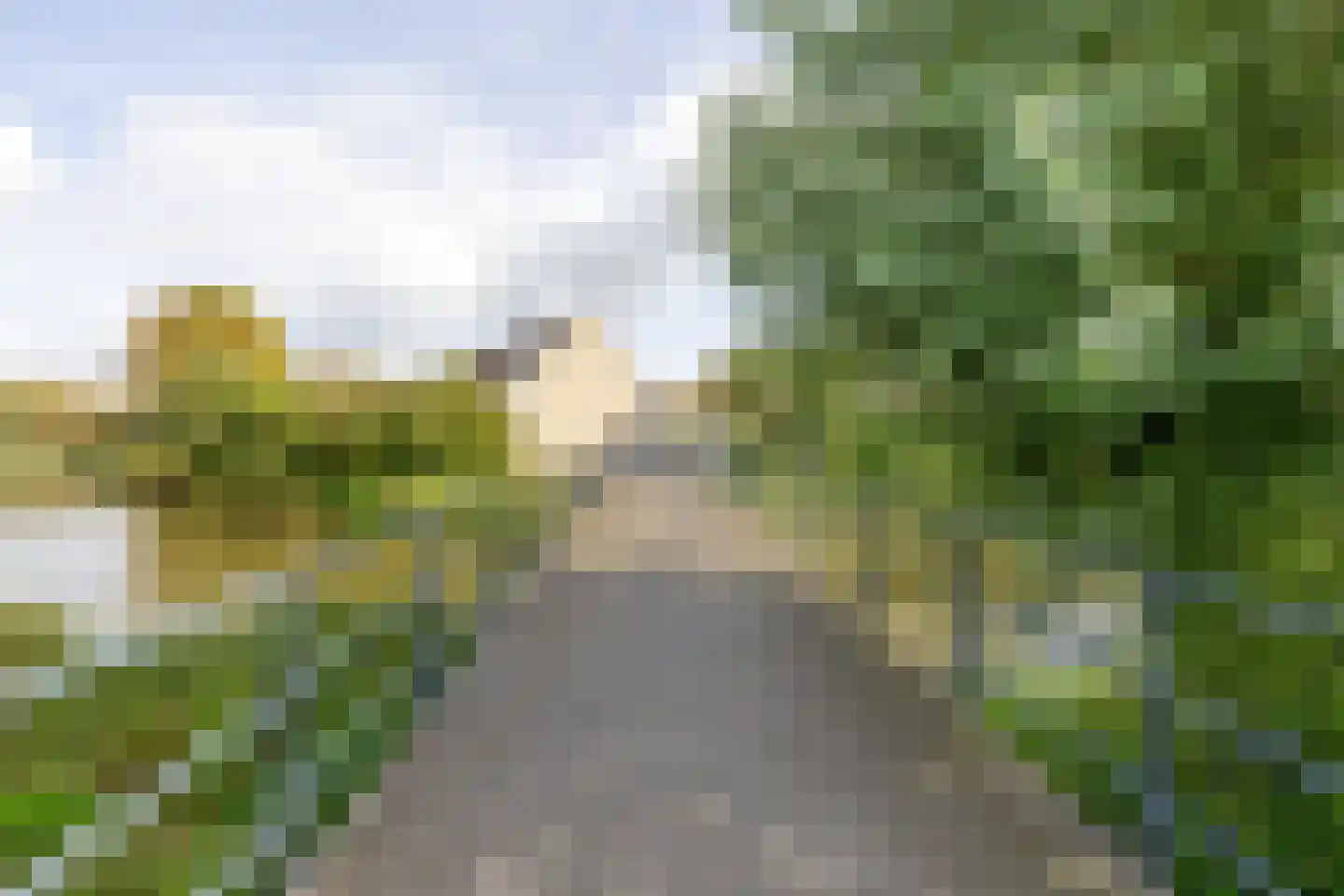 Berenkreek 15 Spijkenisse thumbnail 40
