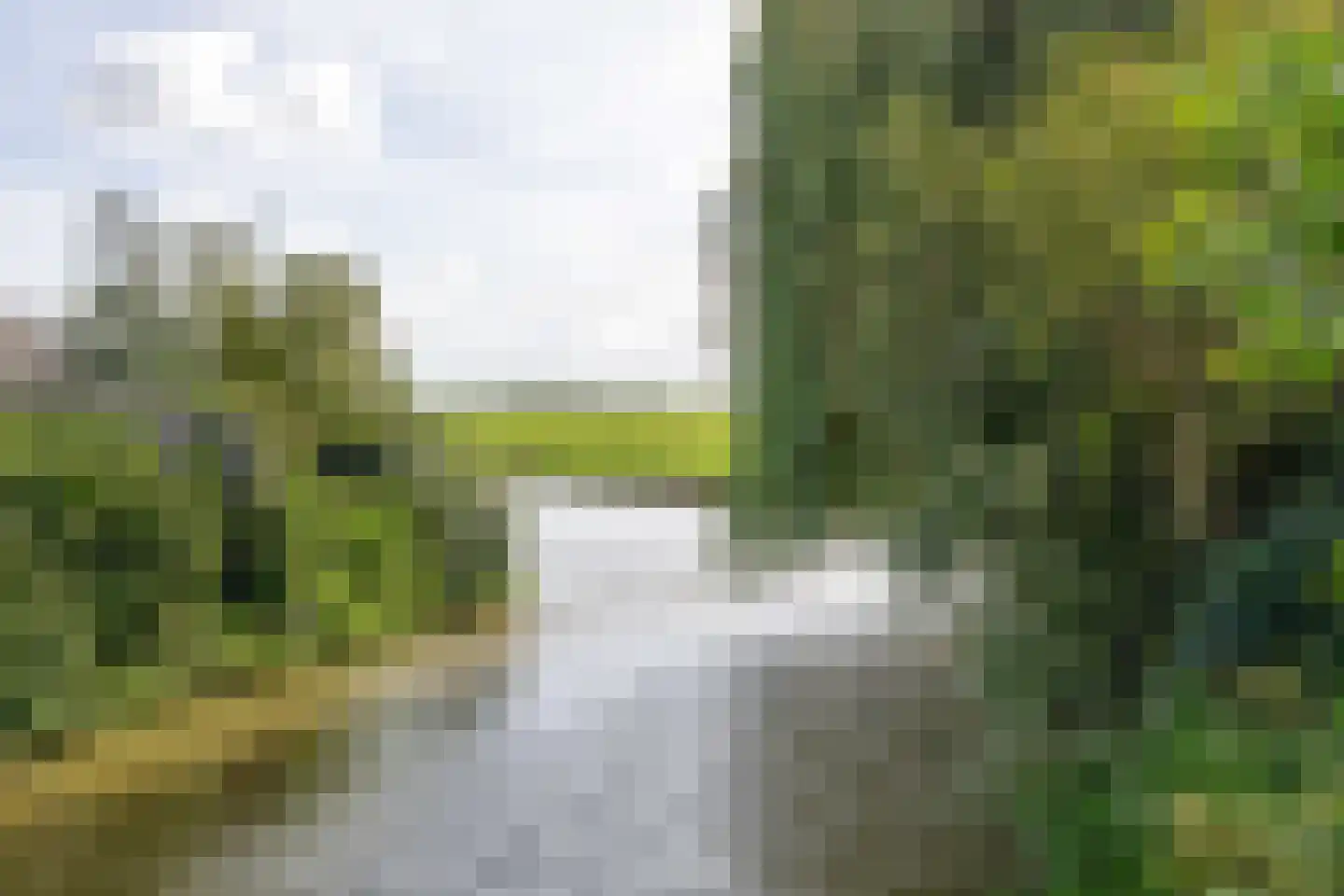 Berenkreek 15 Spijkenisse thumbnail 41
