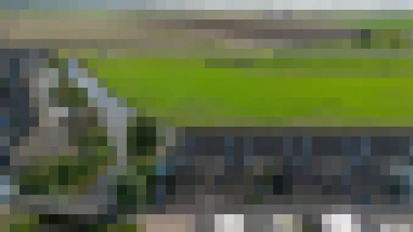 Berenkreek 15 Spijkenisse thumbnail 42