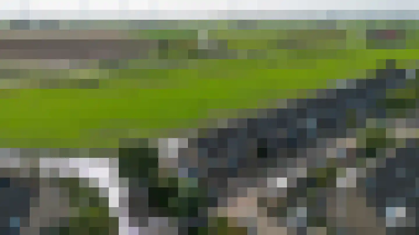 Berenkreek 15 Spijkenisse thumbnail 43