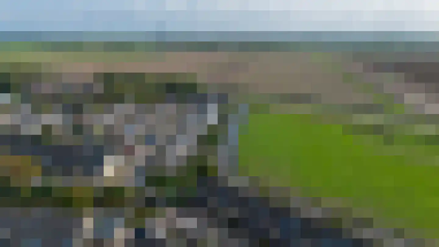 Berenkreek 15 Spijkenisse thumbnail 46