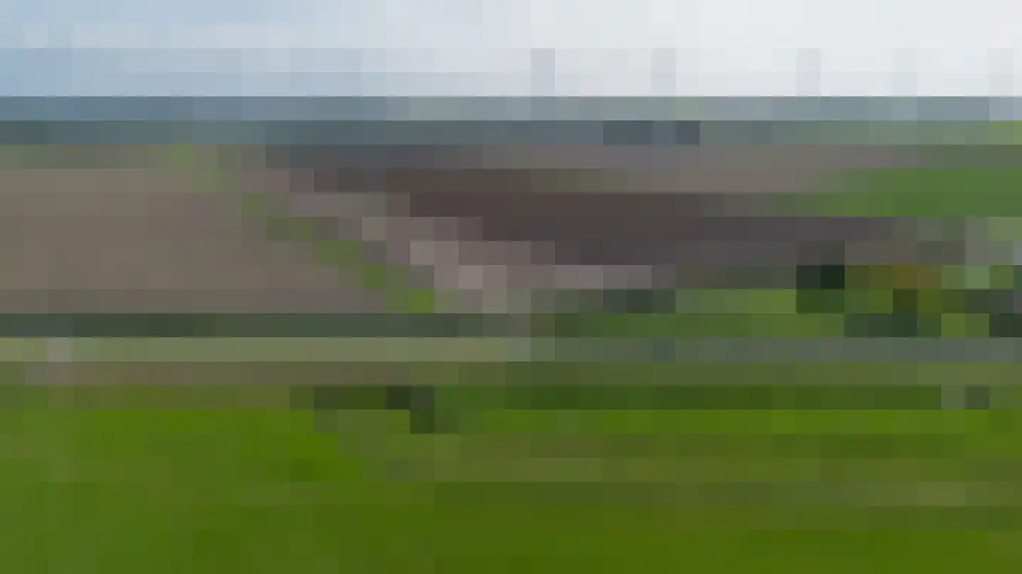 Berenkreek 15 Spijkenisse thumbnail 47