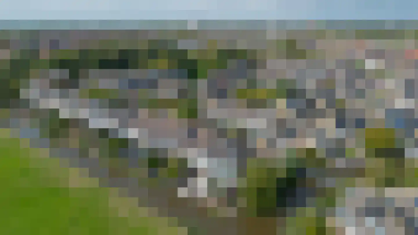 Berenkreek 15 Spijkenisse thumbnail 48