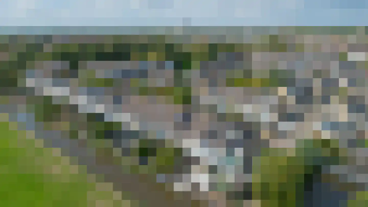 Berenkreek 15 Spijkenisse thumbnail 49
