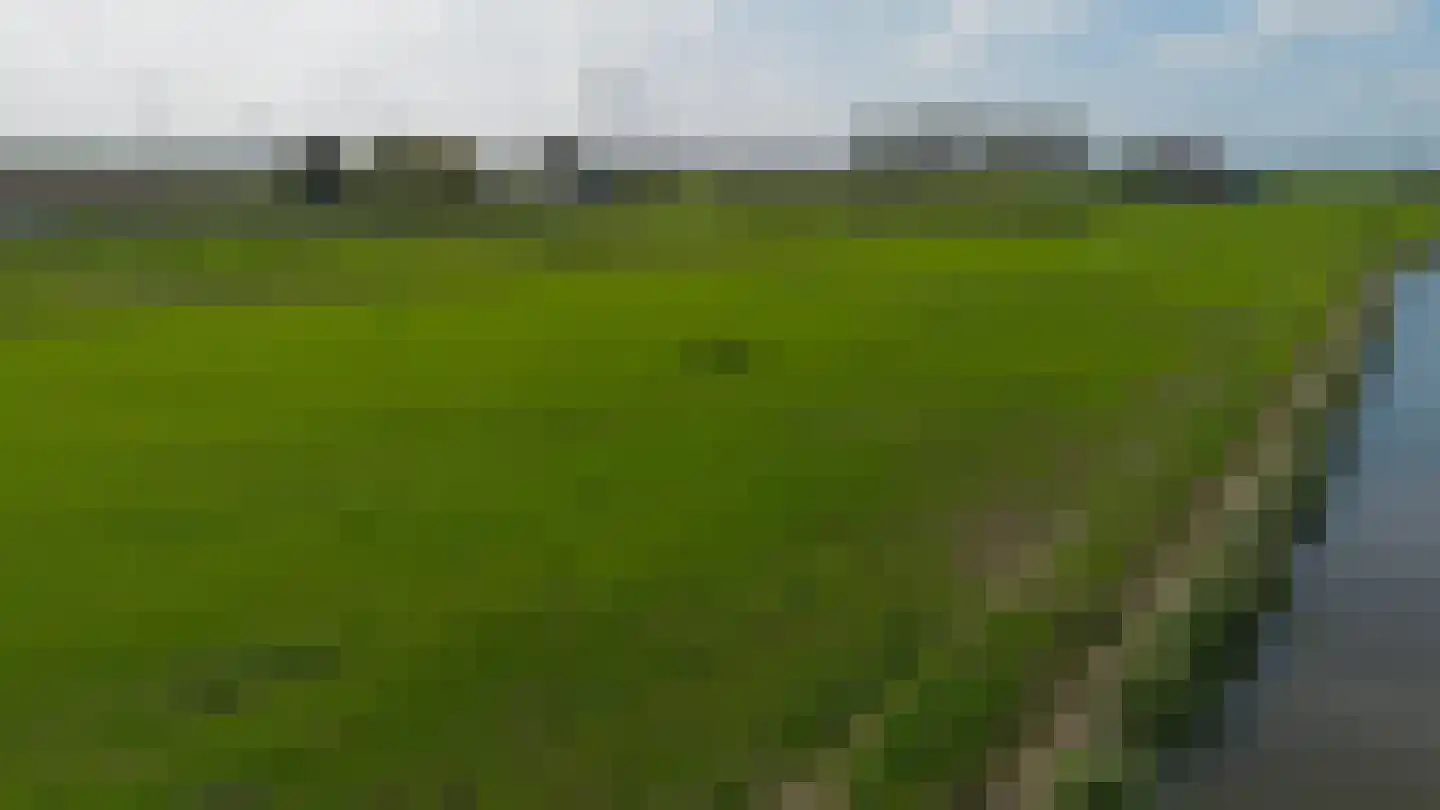 Berenkreek 15 Spijkenisse thumbnail 51
