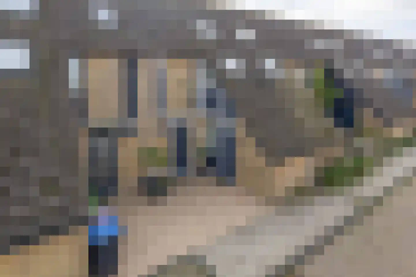 Berenkreek 15 Spijkenisse thumbnail 6