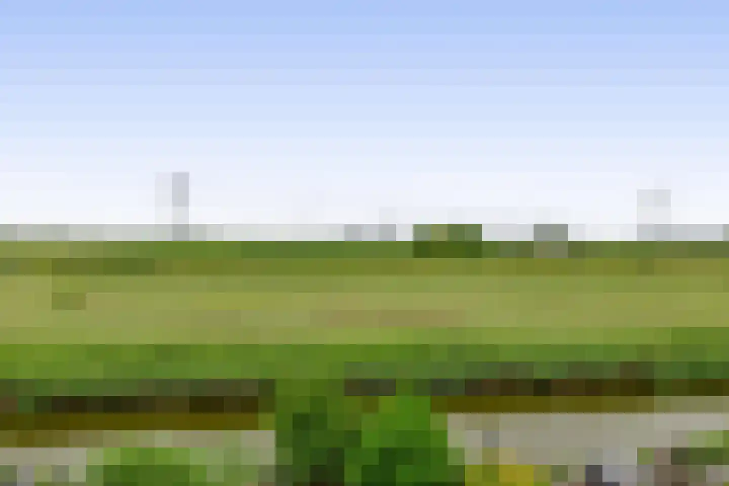 Berenkreek 39 Spijkenisse thumbnail 39