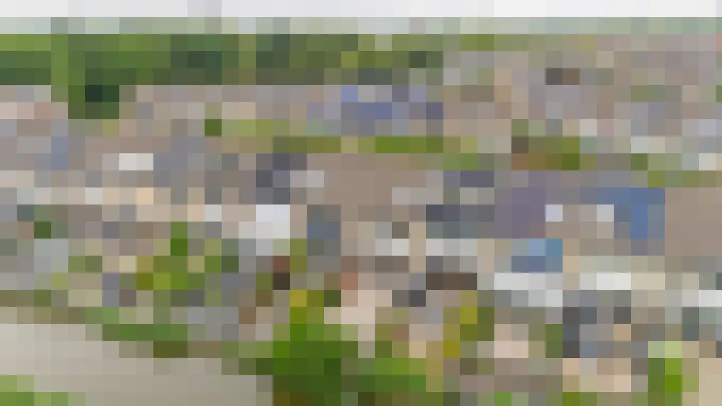 Berenkreek 39 Spijkenisse thumbnail 40