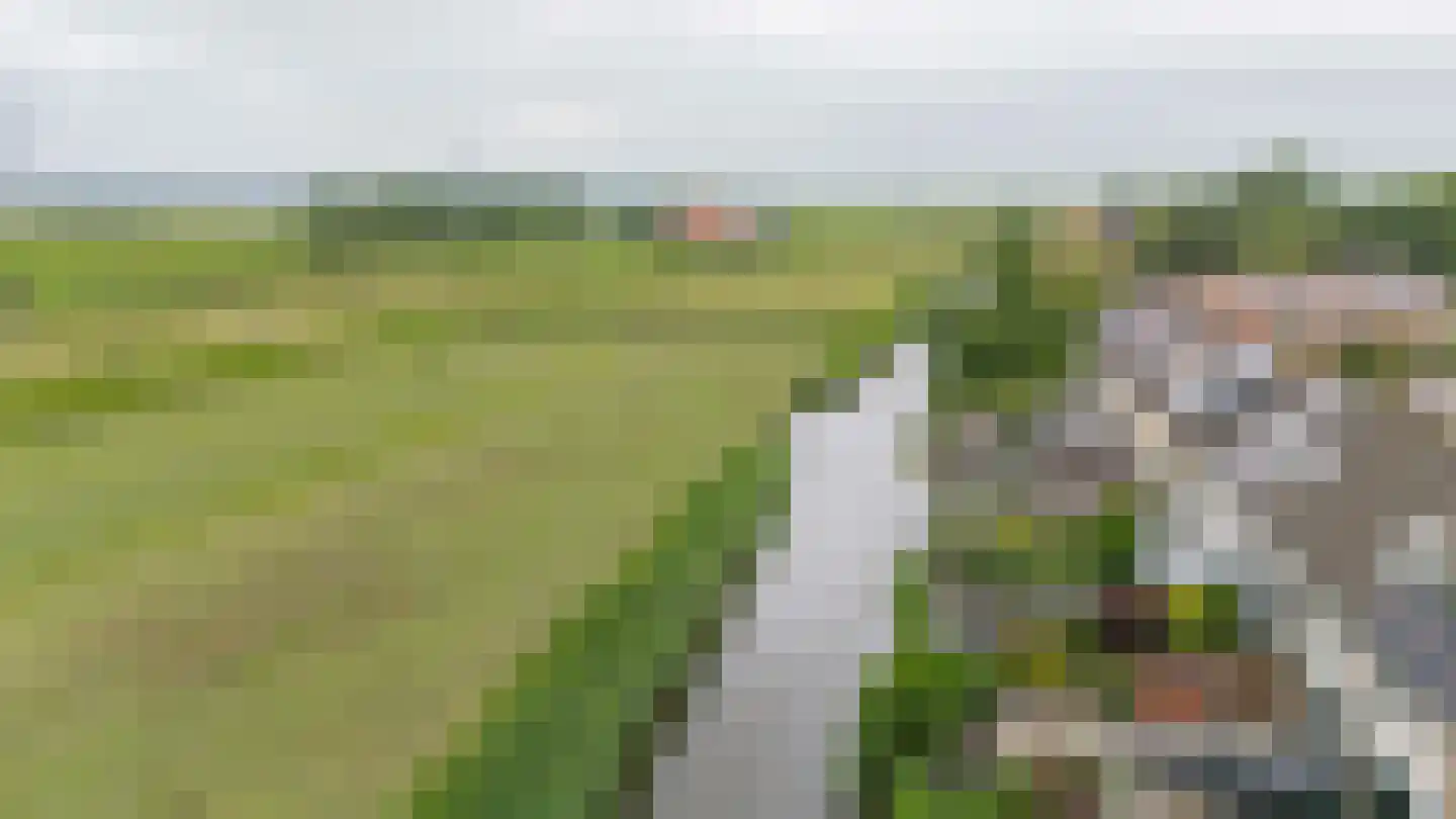 Berenkreek 39 Spijkenisse thumbnail 41