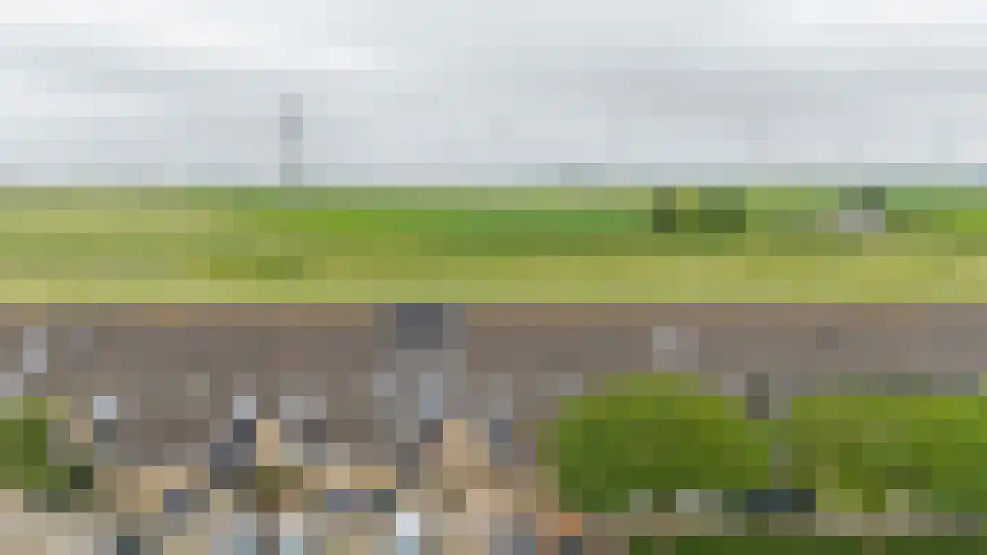 Berenkreek 39 Spijkenisse thumbnail 43