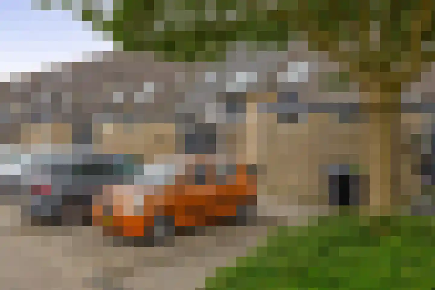 Berenkreek 39 Spijkenisse thumbnail 7