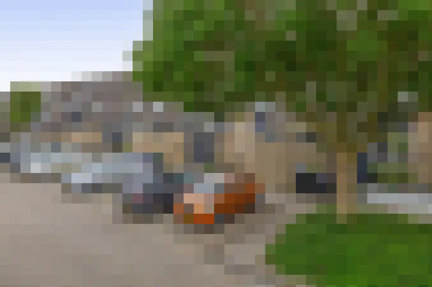 Berenkreek 39 Spijkenisse thumbnail 8