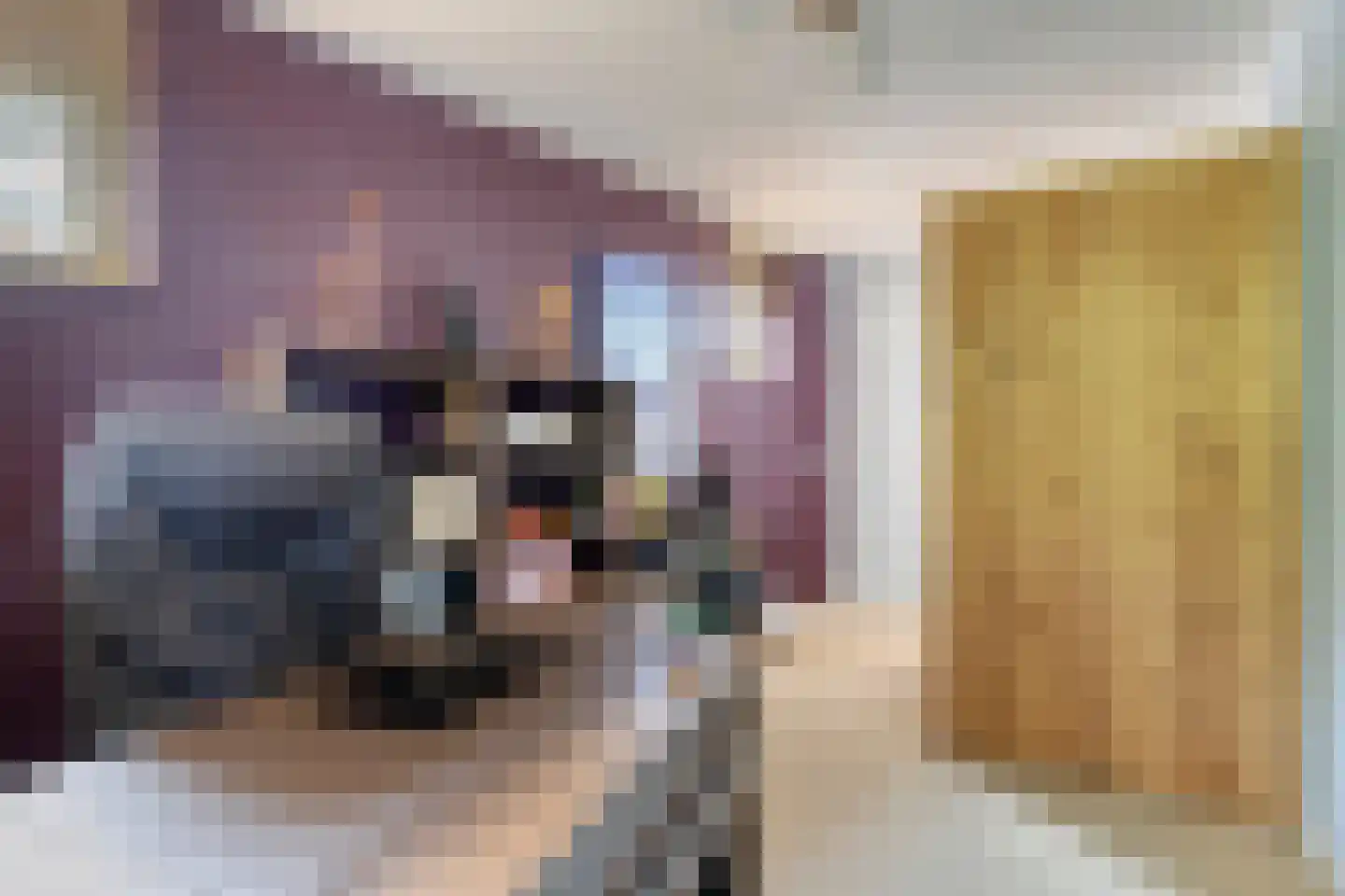 Berenkuil 13 Cuijk thumbnail 27