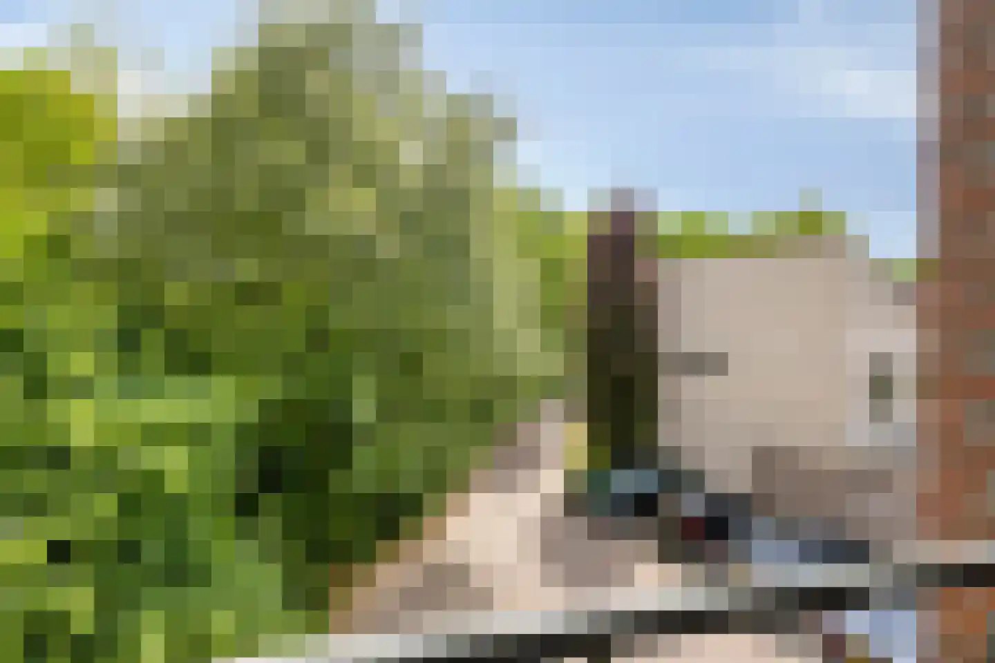 Berenkuil 13 Cuijk thumbnail 36