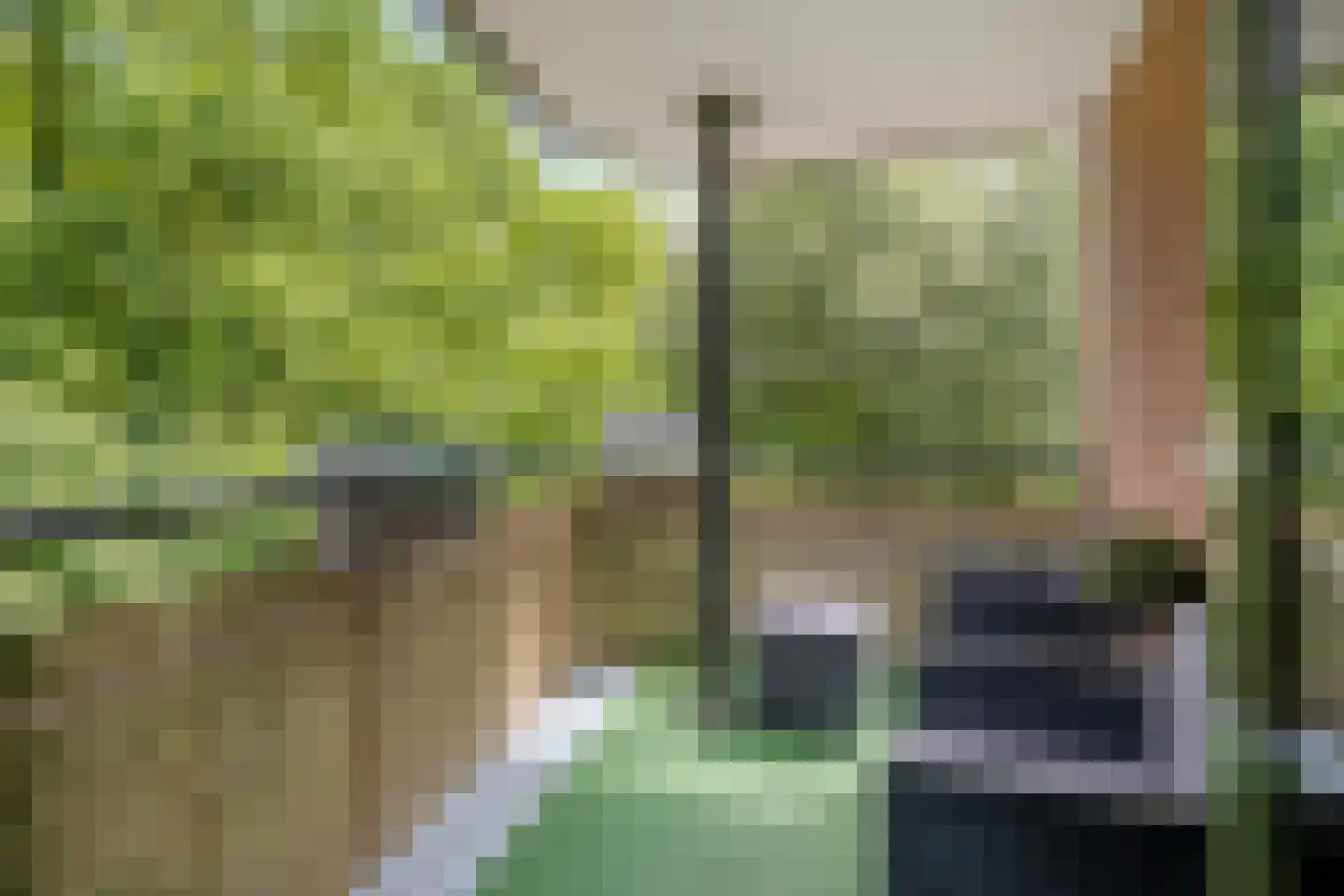 Berenkuil 13 Cuijk thumbnail 4