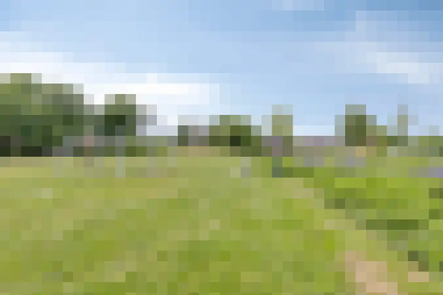 Berenkuil 13 Cuijk thumbnail 41